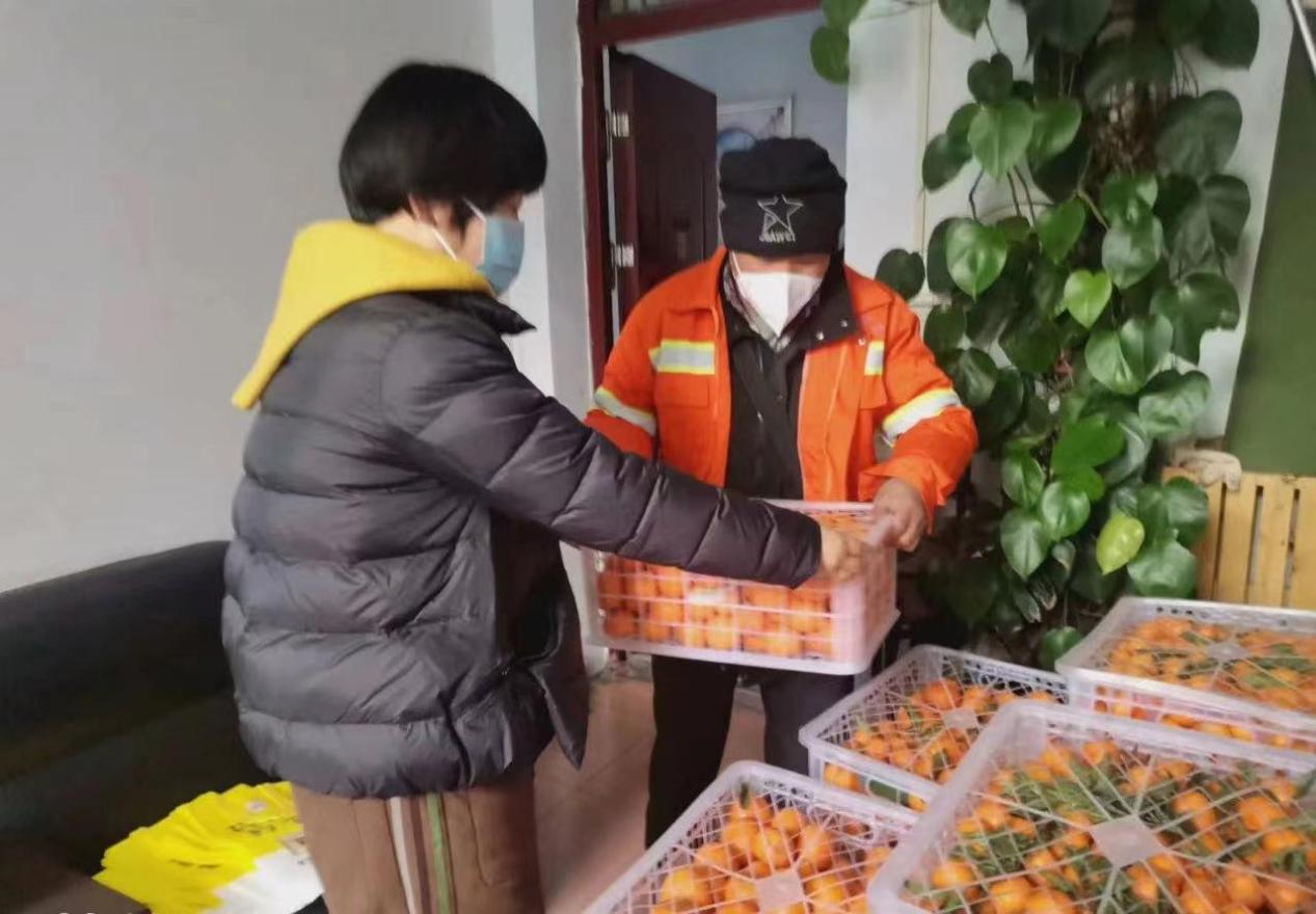南阳卧龙.png